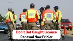Attention Drivers: South Africa’s 2025 Licence Renewal Fees Revealed